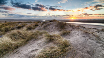 Dlaczego warto zrobić przeszczep włosów w Turcji